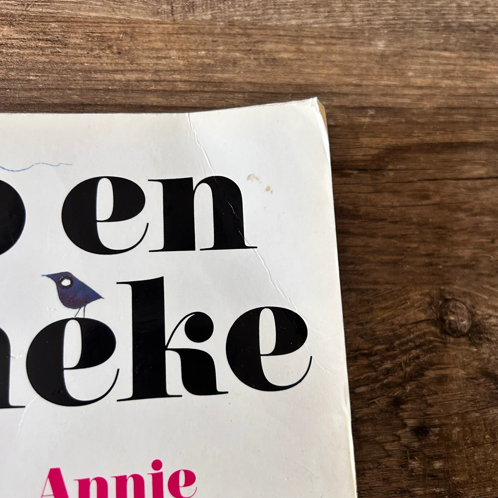 Jip y Janneke – Annie M.G. Schmidt & Fiep Westendorp (2012) | Querido – photo 2